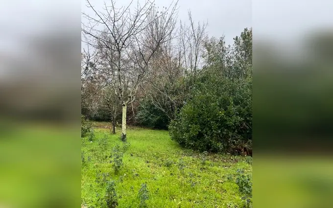 Programme immobilier neuf Terrain à partir de 490m² à arsac