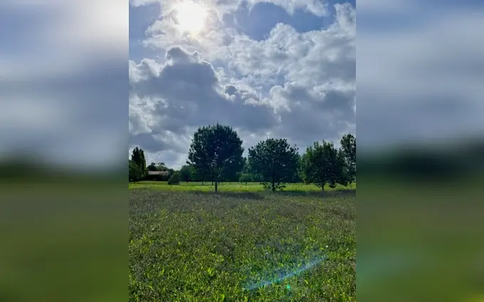 Programme immobilier neuf Terrain à partir de 351m² à mornac-sur-seudre à Mornac-sur-Seudre (17113)