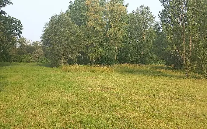 Programme immobilier neuf Terrain à partir de 1690m² à ménesplet à Ménesplet (24700)