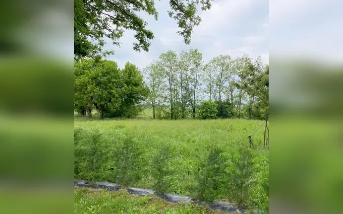 Programme immobilier neuf Terrain à partir de 1300m² à birac-sur-trec à Birac-sur-Trec (47200)