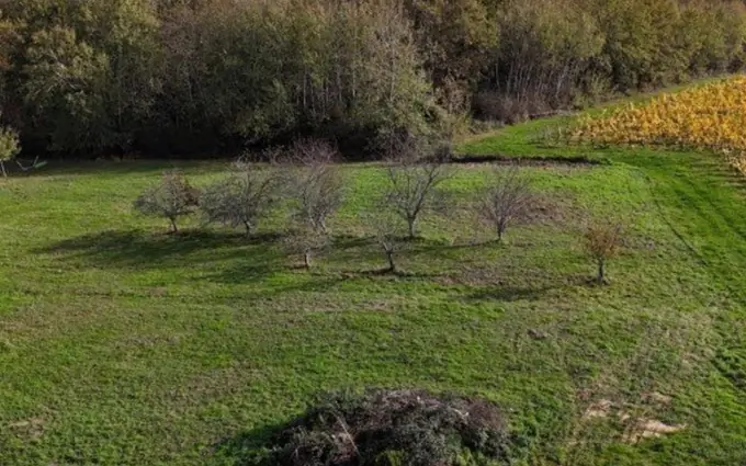 Programme immobilier neuf Terrain à partir de 815m² à cardan à Cardan (33410)