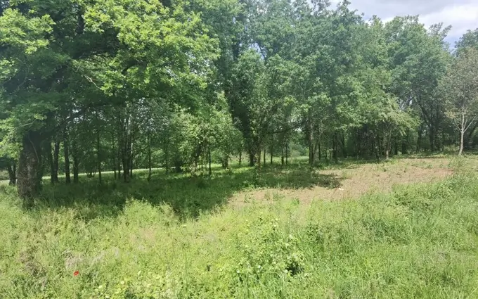 Programme immobilier neuf Terrain à partir de 520m² à gradignan à Gradignan (33170)