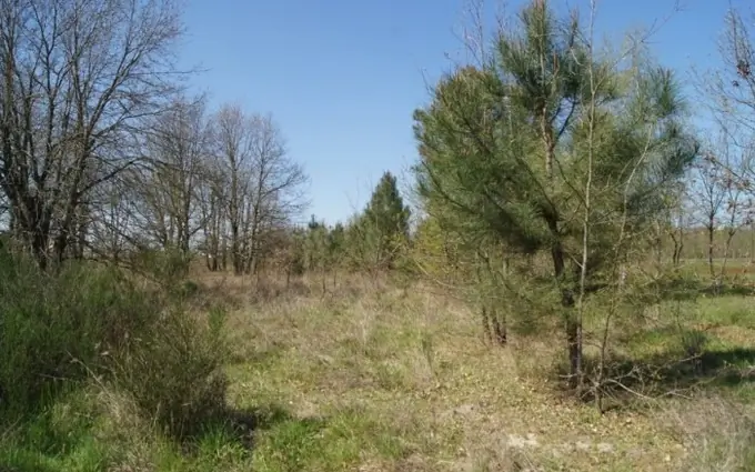 Programme immobilier neuf Terrain à partir de 310m² à le barp à Le Barp (33114)