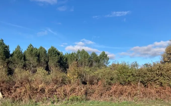 Programme immobilier neuf Terrain à partir de 850m² à balizac à Balizac (33730)