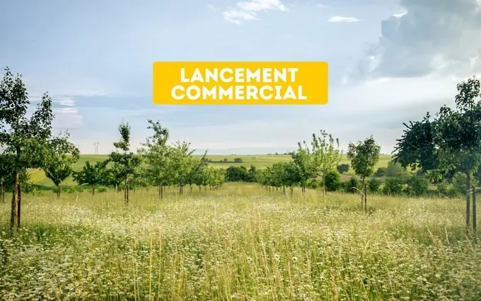 Programme immobilier neuf Route d'Andolsheim à Bischwihr