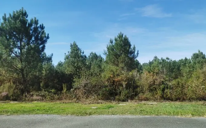 Programme immobilier neuf Terrain à partir de 928m² à salaunes à Salaunes (33160)