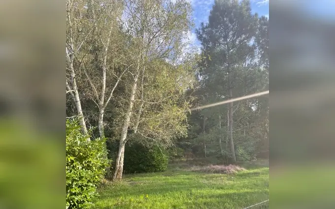 Programme immobilier neuf Terrain à partir de 420m² à le pian-médoc à Le Pian-Médoc (33290)