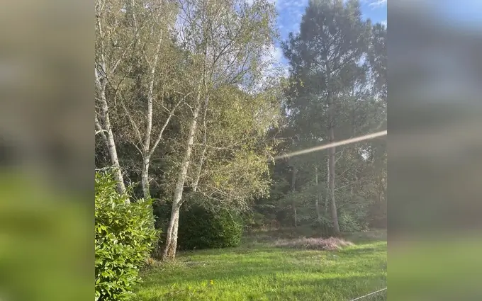 Programme immobilier neuf Terrain à partir de 950m² à saint-aubin-de-médoc à Saint-Aubin-de-Médoc