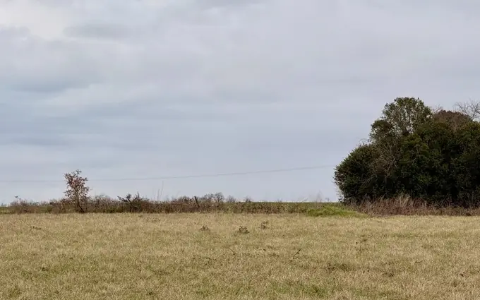 Programme immobilier neuf Terrain à partir de 2300m² à saint-aubin-de-lanquais à Saint-Aubin-de-Lanquais (24560)