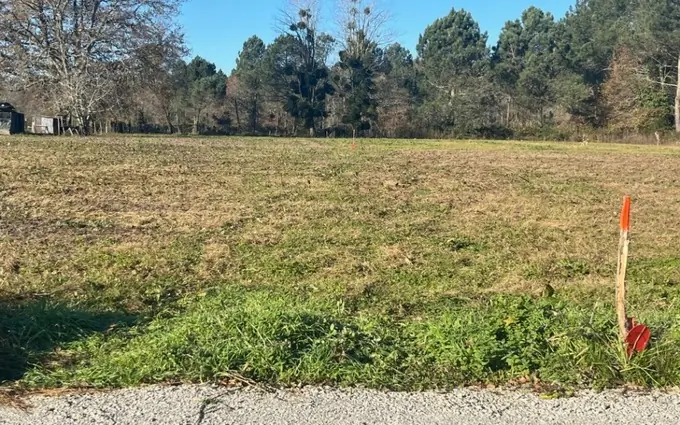 Programme immobilier neuf Terrain à partir de 1000m² à grignols à Grignols (33690)