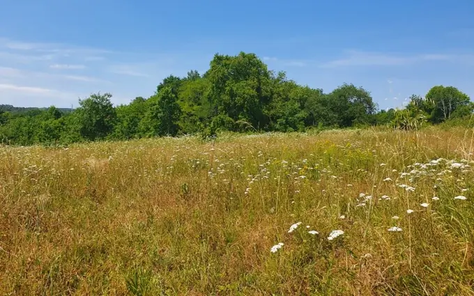 Programme immobilier neuf Terrain à partir de 320m² à abzac à Abzac (33230)