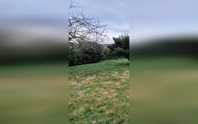 Programme immobilier neuf Terrain à partir de 500m² à Castelnau-de-Médoc à Castelnau-de-Médoc (33480)