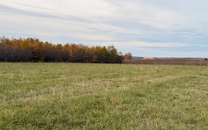 Programme immobilier neuf Terrain à partir de 1000m² à saint-laurent-des-vignes à Saint-Laurent-des-Vignes (24100)