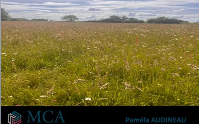 Programme immobilier neuf Terrain à partir de 440m² à vayres à Vayres (33870)