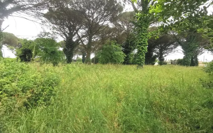 Programme immobilier neuf Terrain à partir de 960m² à saint-maixant à Saint-Maixant (33490)