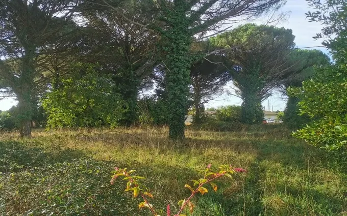 Programme immobilier neuf Terrain à partir de 960m² à saint-maixant à Saint-Maixant (33490)