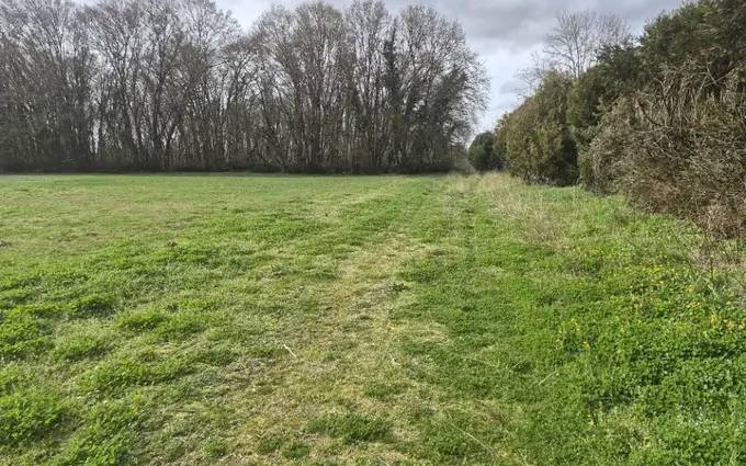 Programme immobilier neuf Terrain à partir de 1355m² à gémozac à Gémozac