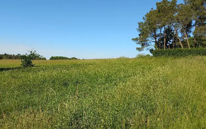 Programme immobilier neuf Terrain à partir de 5878m² à échourgnac à Échourgnac