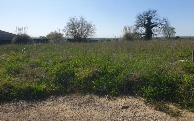 Programme immobilier neuf Terrain à partir de 500m² à saint-gervais à Saint-Gervais (33240)