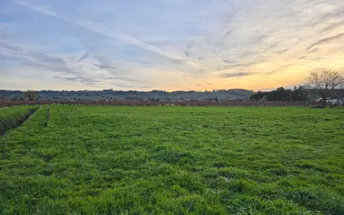 Programme immobilier neuf Terrain à partir de 1600m² à saint-laurent-des-vignes à Saint-Laurent-des-Vignes (24100)