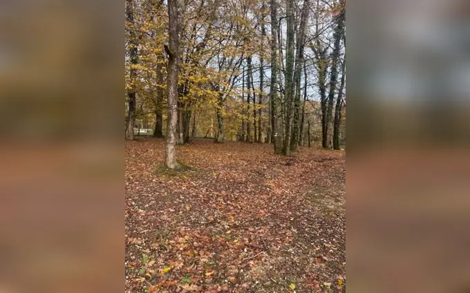 Programme immobilier neuf Terrain à partir de 800m² à camarsac