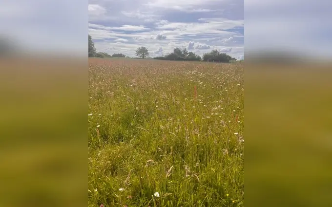 Programme immobilier neuf Terrain à partir de 400m² à beautiran à Beautiran