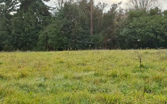 Programme immobilier neuf Terrain à partir de 730m² à tizac-de-lapouyade à Tizac-de-Lapouyade (33620)