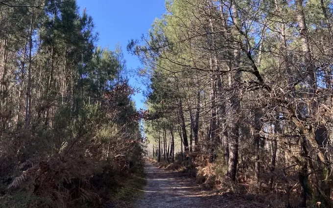 Programme immobilier neuf L'esquirey à Gujan-Mestras