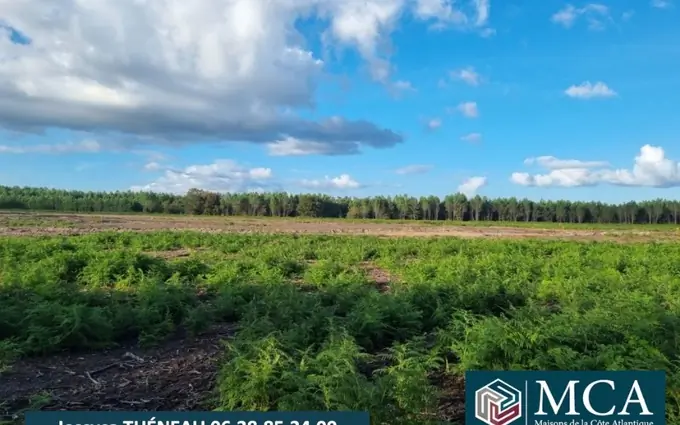 Programme immobilier neuf Terrain à partir de 562m² à laluque à Laluque (40465)