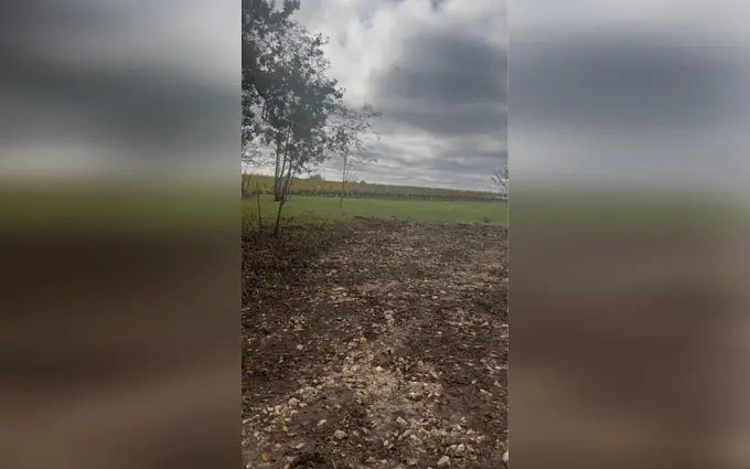 Programme immobilier neuf Terrain à partir de 5000m² à langoiran à Langoiran (33550)