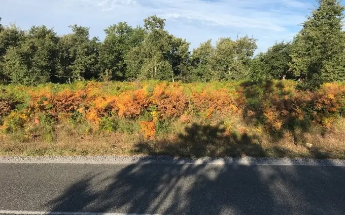 Programme immobilier neuf Terrain à partir de 746m² à le temple