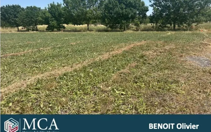 Programme immobilier neuf Terrain à partir de 339m² à Mornac-sur-Seudre à Mornac-sur-Seudre (17113)