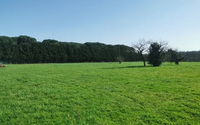 Programme immobilier neuf Terrain à partir de 995m² à coimères à Coimères