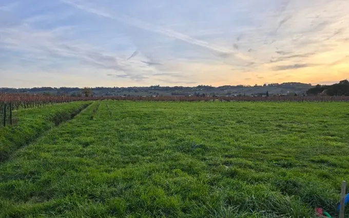 Programme immobilier neuf Terrain à partir de 1600m² à saint-laurent-des-vignes à Saint-Laurent-des-Vignes (24100)