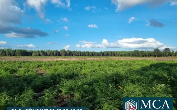 Programme immobilier neuf Terrain à partir de 672m² à Laluque à Laluque (40465)