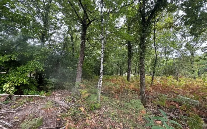 Programme immobilier neuf Terrain à partir de 1200m² à Grayan-et-l'Hôpital à Grayan-et-l'Hôpital (33590)