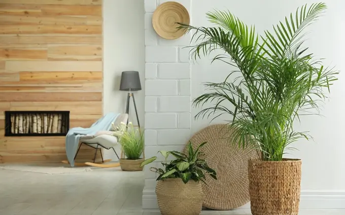 Programme immobilier neuf Bleu du sud - villas brs - t2 à Soustons