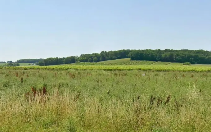 Programme immobilier neuf Terrain à partir de 771m² à Flaugeac à Sigoulès (24240)