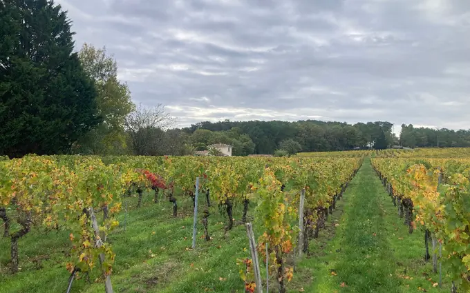 Programme immobilier neuf Terrain à partir de 1500m² à Saint-Sauveur-de-Puynormand à Saint-Sauveur-de-Puynormand (33660)