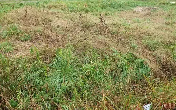 Programme immobilier neuf Terrain à partir de 500m² à Laruscade à Laruscade (33620)