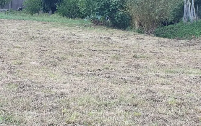 Programme immobilier neuf Terrain à partir de 1200m² à Saint-Romain-la-Virvée à Saint-Romain-la-Virvée (33240)