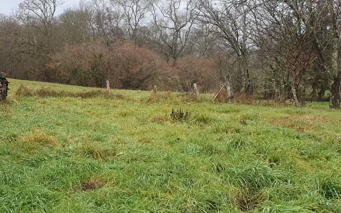 Programme immobilier neuf Terrain à partir de 794m² à Val de Virvée à Aubie-et-Espessas (33240)