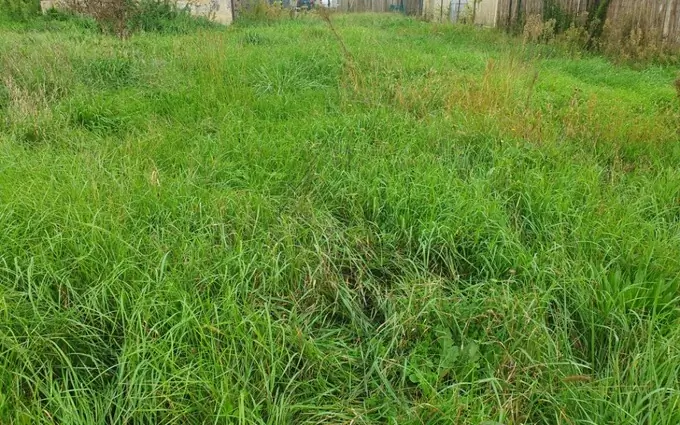 Programme immobilier neuf Terrain à partir de 500m² à Saint-Genès-de-Fronsac