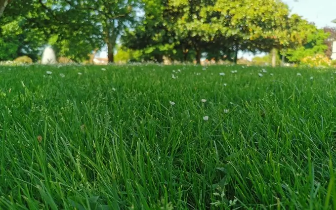 Programme immobilier neuf Terrain à partir de 720m² à Gujan-Mestras à Gujan-Mestras (33470)