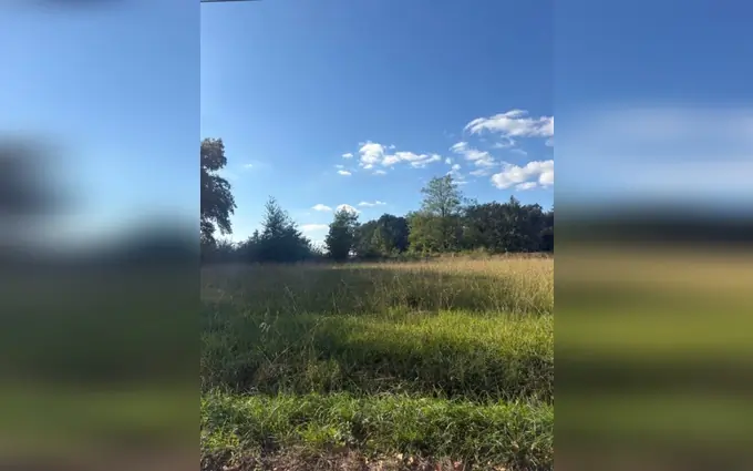 Programme immobilier neuf Terrain à partir de 800m² à Lugon-et-l'Île-du-Carnay à Lugon-et-l'Île-du-Carnay (33240)