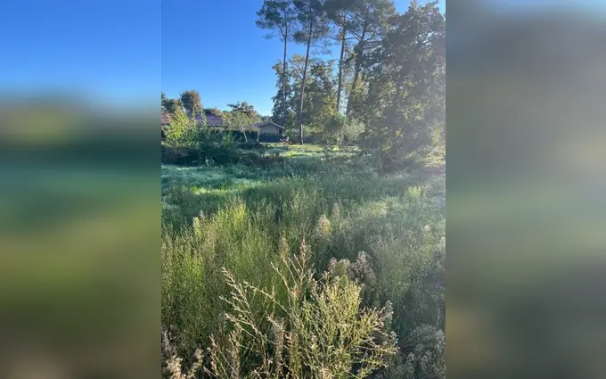 Programme immobilier neuf Terrain à partir de 500m² à Castelnau-de-Médoc