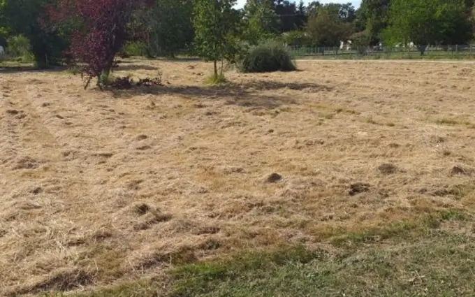 Programme immobilier neuf Terrain à partir de 2770m² à Saint-Vivien-de-Médoc à Saint-Vivien-de-Médoc (33590)