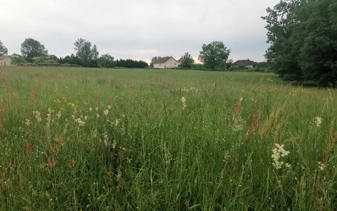 Programme immobilier neuf Terrain à partir de 1800m² à Peyrignac à Peyrignac (24210)