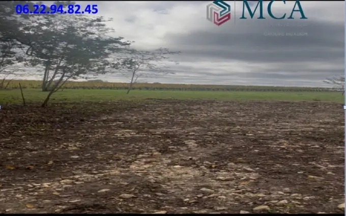 Programme immobilier neuf Terrain à partir de 940m² à Langoiran à Langoiran (33550)
