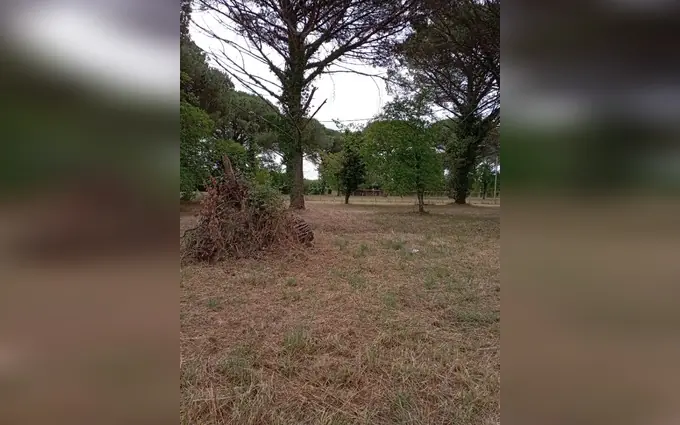 Programme immobilier neuf Terrain à partir de 1090m² à Saint-Macaire à Saint-Macaire (33490)